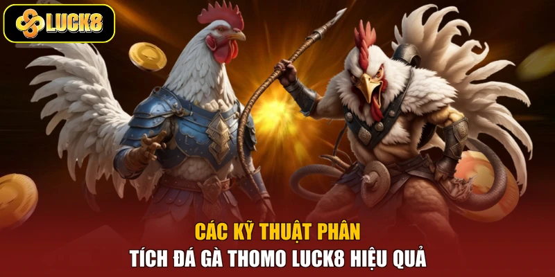 Các kỹ thuật phân tích đá gà Thomo Luck8 hiệu quả