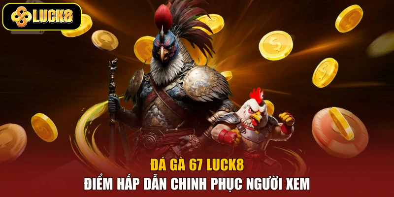 Đá Gà 67 Luck8 - Điểm Hấp Dẫn Chinh Phục Người Xem