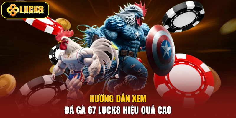 Hướng dẫn xem đá gà 67 Luck8 hiệu quả cao