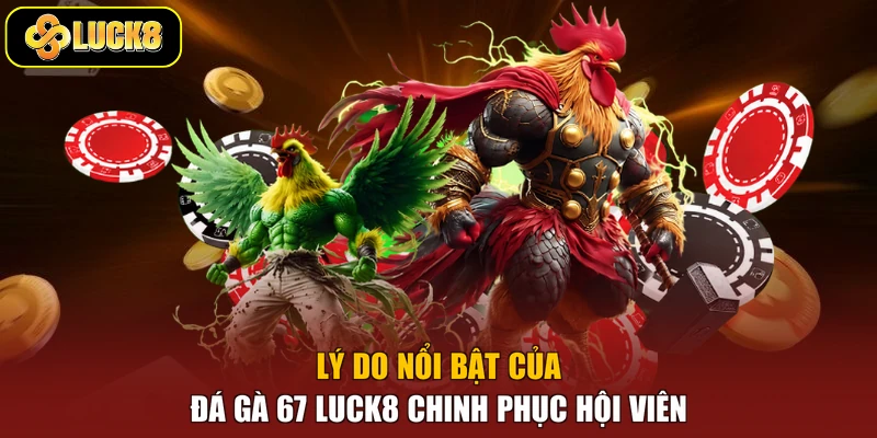 Lý do nổi bật của đá gà 67 Luck8 chinh phục hội viên