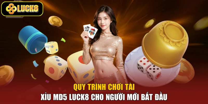 Quy Trình Chơi Tài Xỉu MD5 Luck8 Cho Người Mới Bắt Đầu