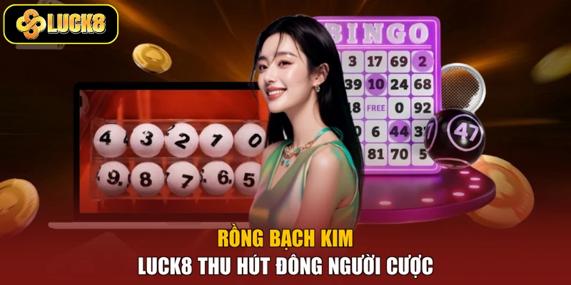 Rồng Bạch Kim Luck8 thu hút đông người cược